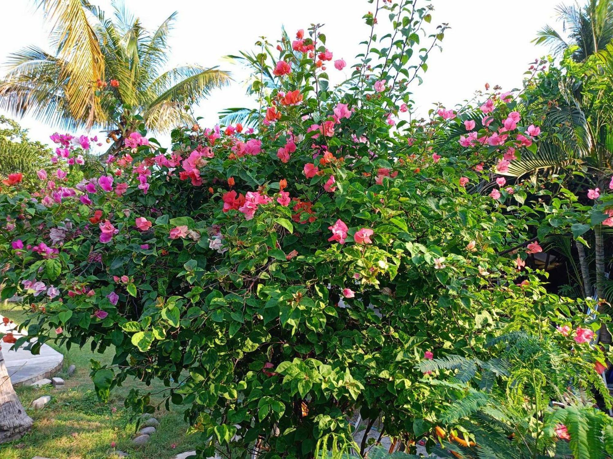 Bintang Tiga Bungalows 吉利阿尔 外观 照片